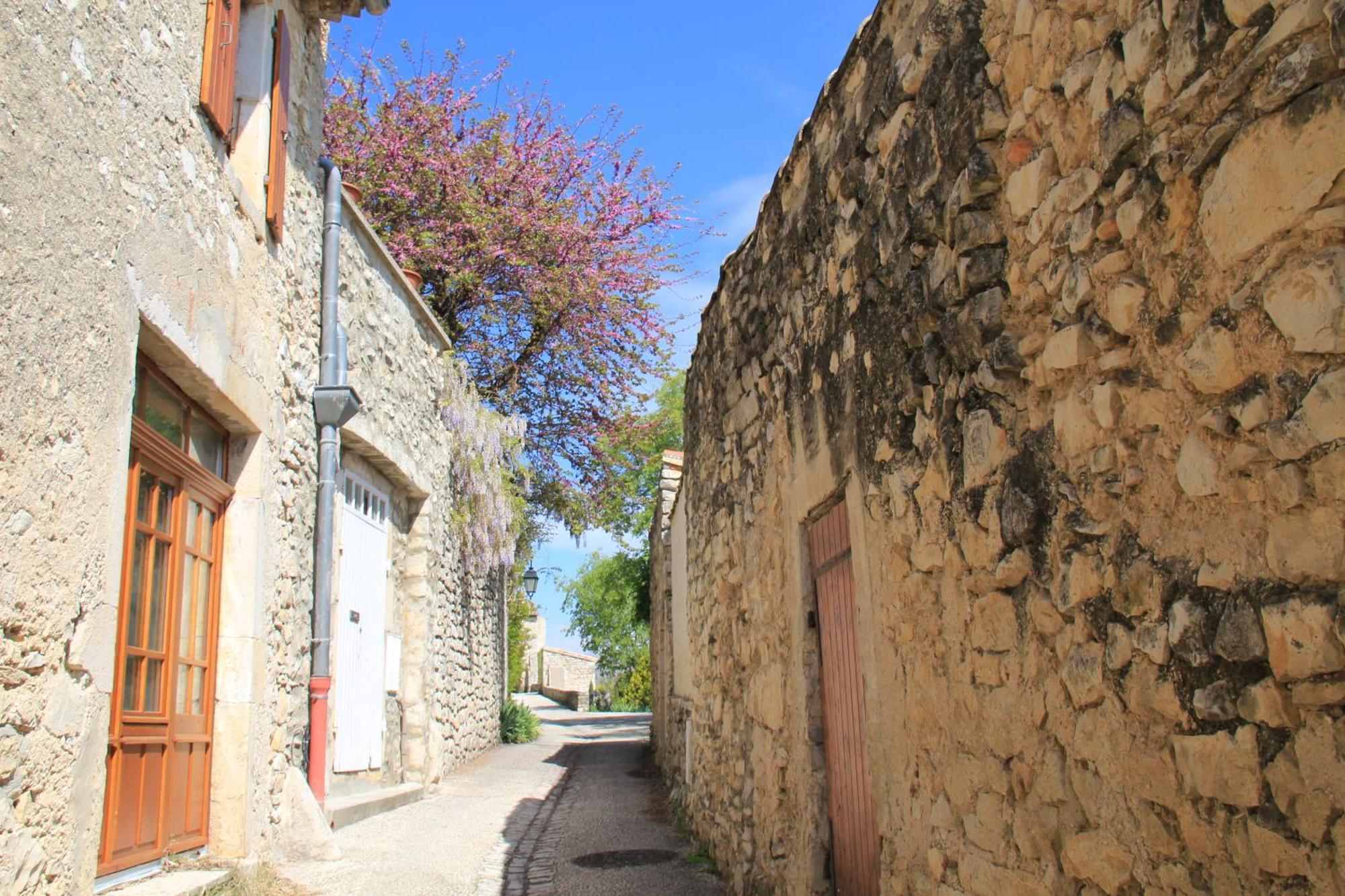 La Colombiere - Vue Imprenable Sur L'Ardeche - Tres Calme - Tres Bien Situe - Residence Privee Montélimar エクステリア 写真