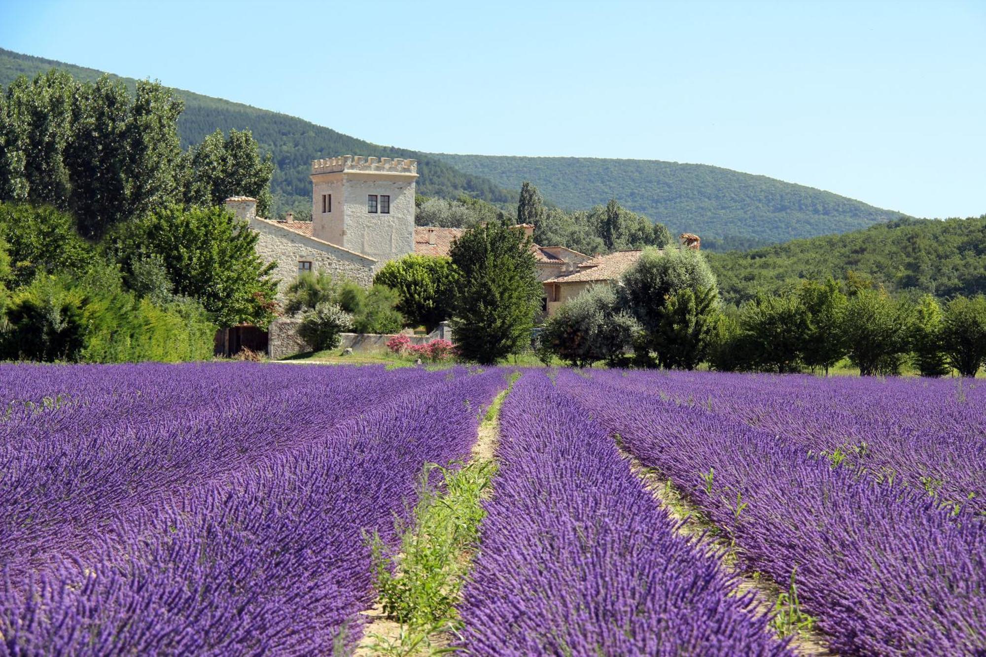 La Colombiere - Vue Imprenable Sur L'Ardeche - Tres Calme - Tres Bien Situe - Residence Privee Montélimar エクステリア 写真