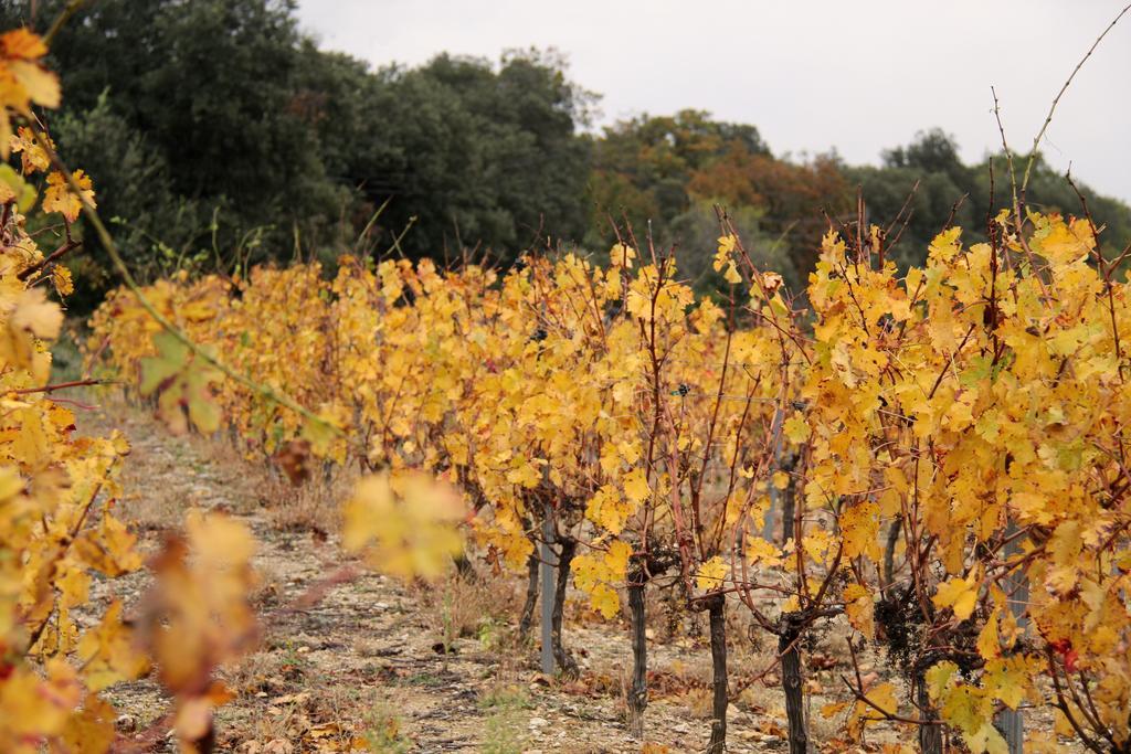 La Colombiere - Vue Imprenable Sur L'Ardeche - Tres Calme - Tres Bien Situe - Residence Privee Montélimar エクステリア 写真